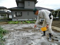 風の無い中，石灰の全面撒布