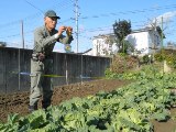 ＣＤの鳥除け反射材の設置