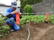 むじな忌避シートの設置