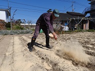 米ヌカの小菜園への散布