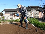 レーキで耕うんしたほ場を先ず均し