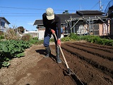 畝紐に沿い鍬で土を内側にすくい上げ