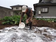 １カ月前に消石灰を散布