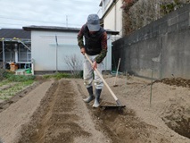 鍬を使い畝お越し作業