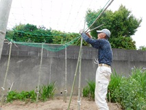 山から切り出した竹支柱を用いゴイ棚を新設