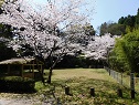 旧火葬場跡（国分寺公園）