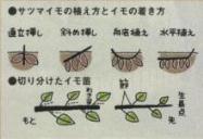 『現代農業』５月号記事から